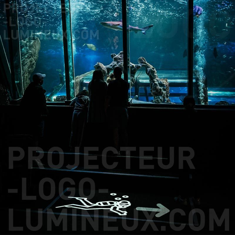 Señalización de flechas iluminadas dirección de visita para acuario, museo y exposición