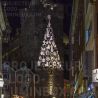 Proiezione di un albero di Natale luminoso su un edificio